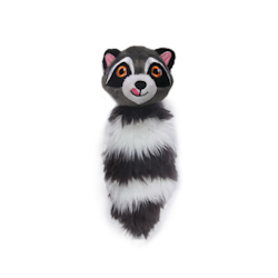 Raccoon