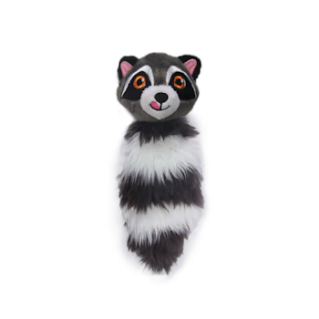 Raccoon