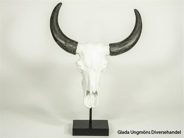 Kranium Vit med Horn