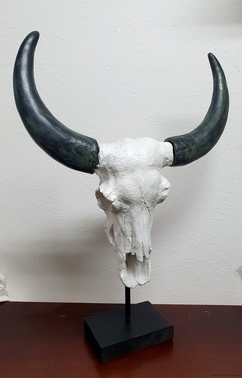 Kranium Vit med Horn