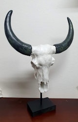 Kranium Vit med Horn