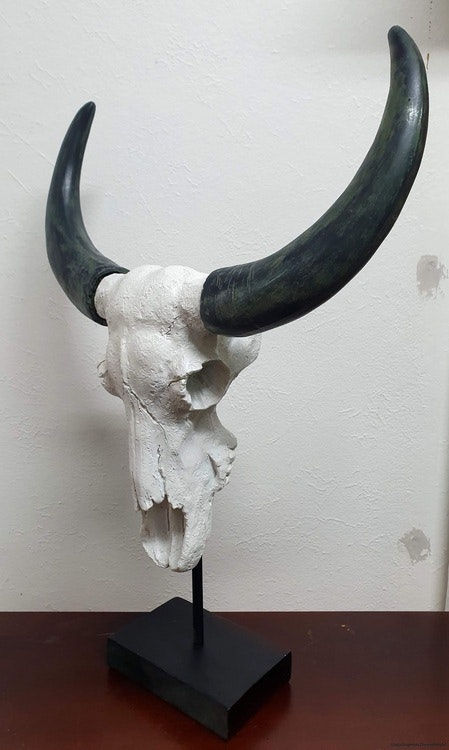 Kranium Vit med Horn