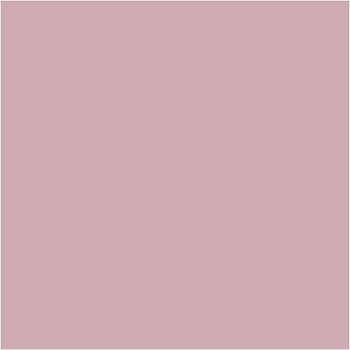 PLUS Color Dusty Rose