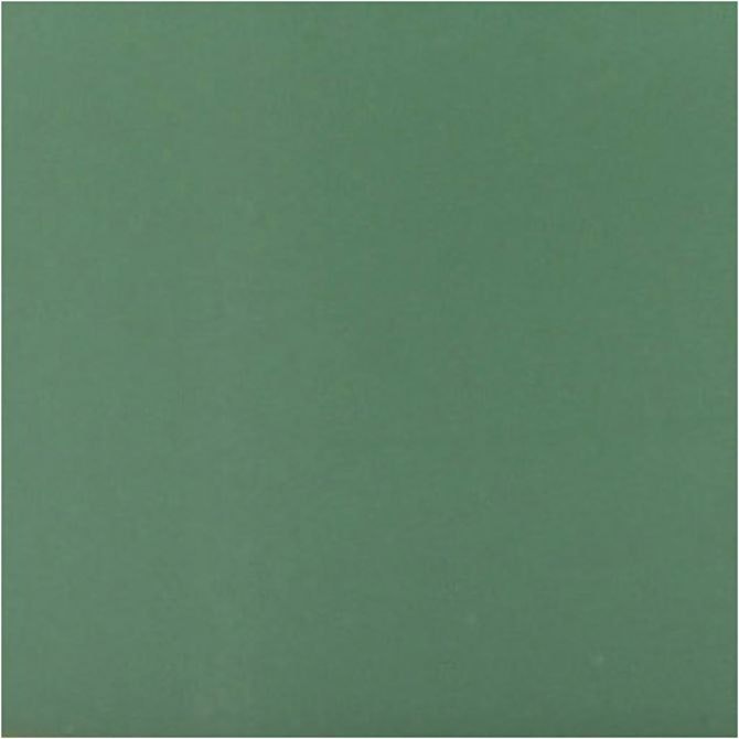 PLUS Color Forrest green