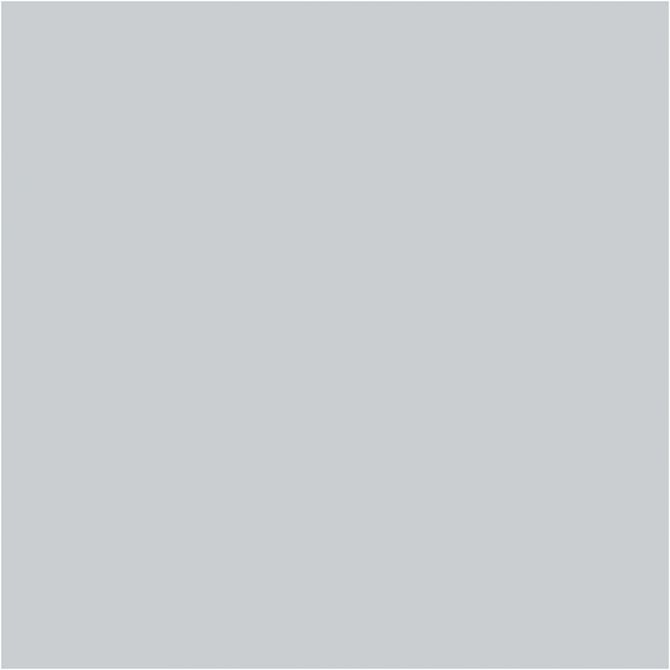 PLUS Color Light grey
