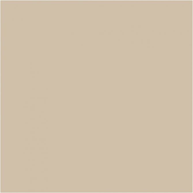 PLUS Color Dark beige
