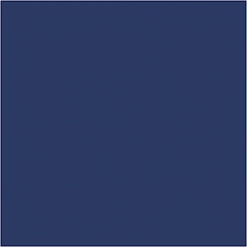 PLUS Color Navy blue