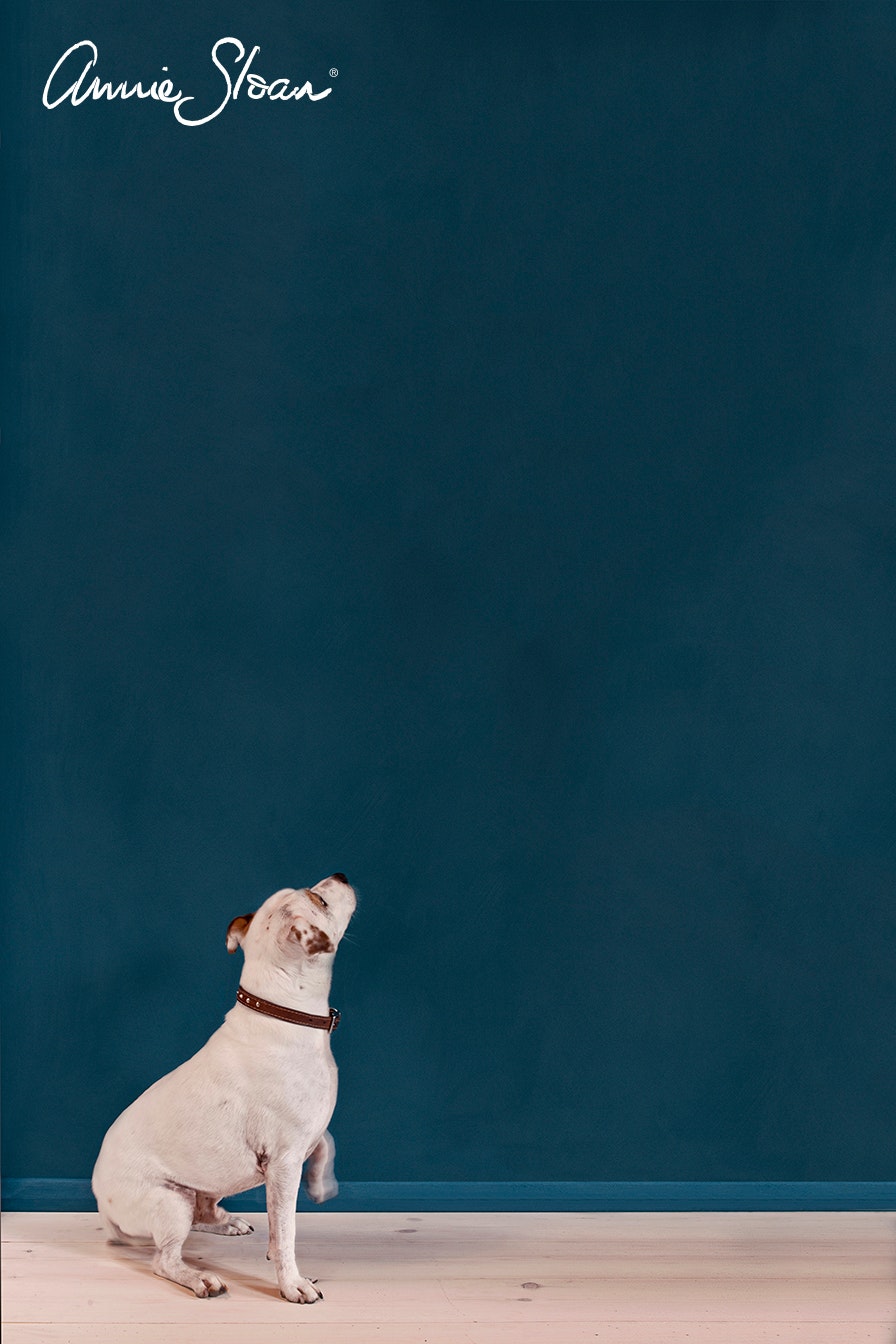 Annie Sloan Wall Paint Aubusson Blue väggfärg interiör petrol blå hund glada ungmöns diversehandel 3