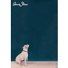 Annie Sloan Wall Paint Aubusson Blue väggfärg interiör petrol blå hund glada ungmöns diversehandel 3