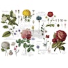 Re Design Transfer Vintage Botanical, Gnuggisar, blomstermotiv, blommor, rosor, Glada ungmön