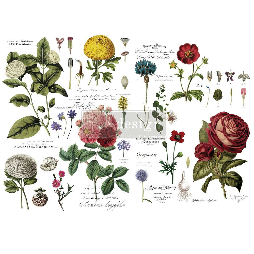 Re Design Transfer Vintage Botanical, Gnuggisar, blomstermotiv, blommor, rosor, Glada ungmön