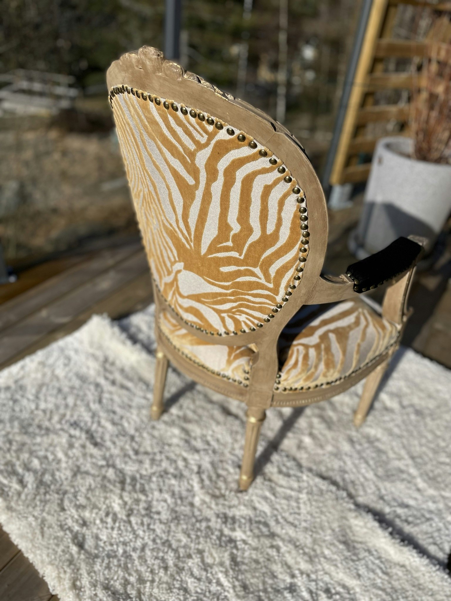 Eleganta stolar i svart och zebra samt med gulddetajer