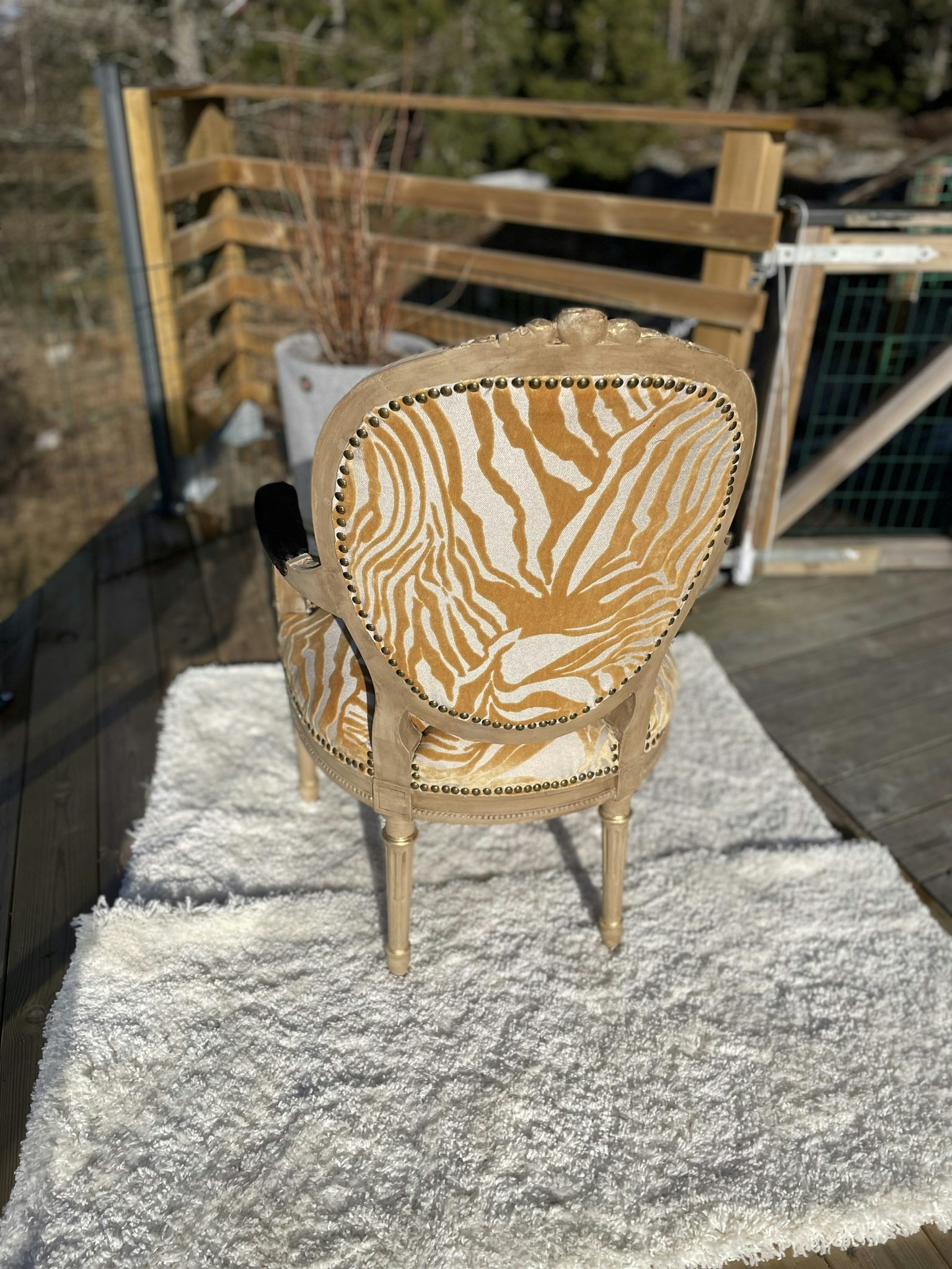 Eleganta stolar i svart och zebra samt med gulddetajer