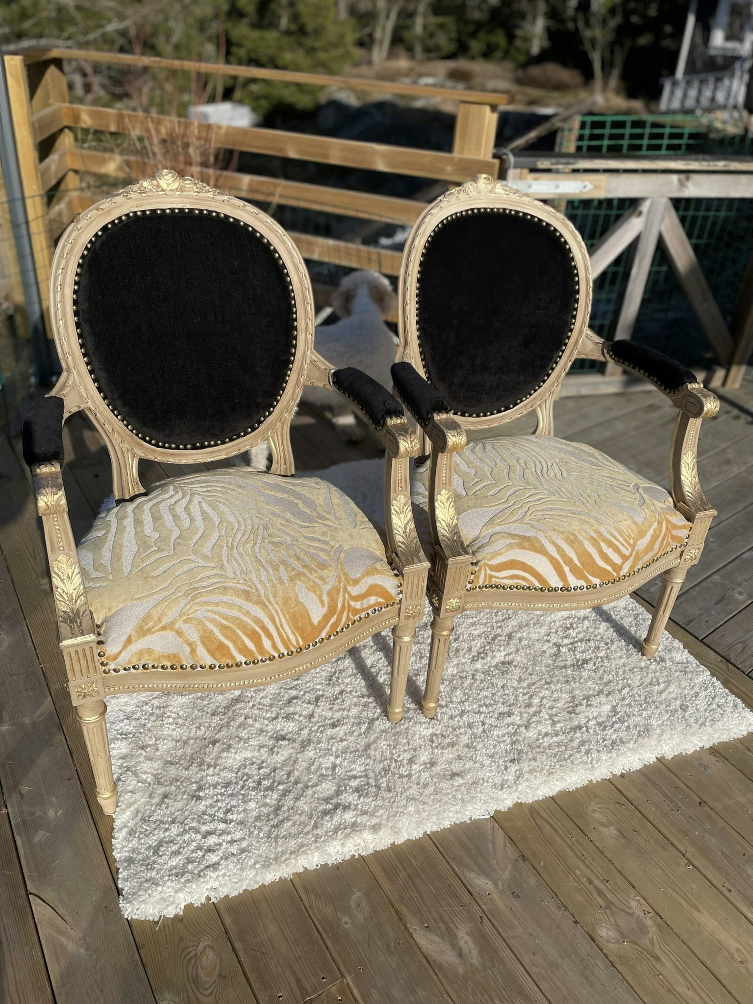 Eleganta stolar i svart och zebra samt med gulddetajer