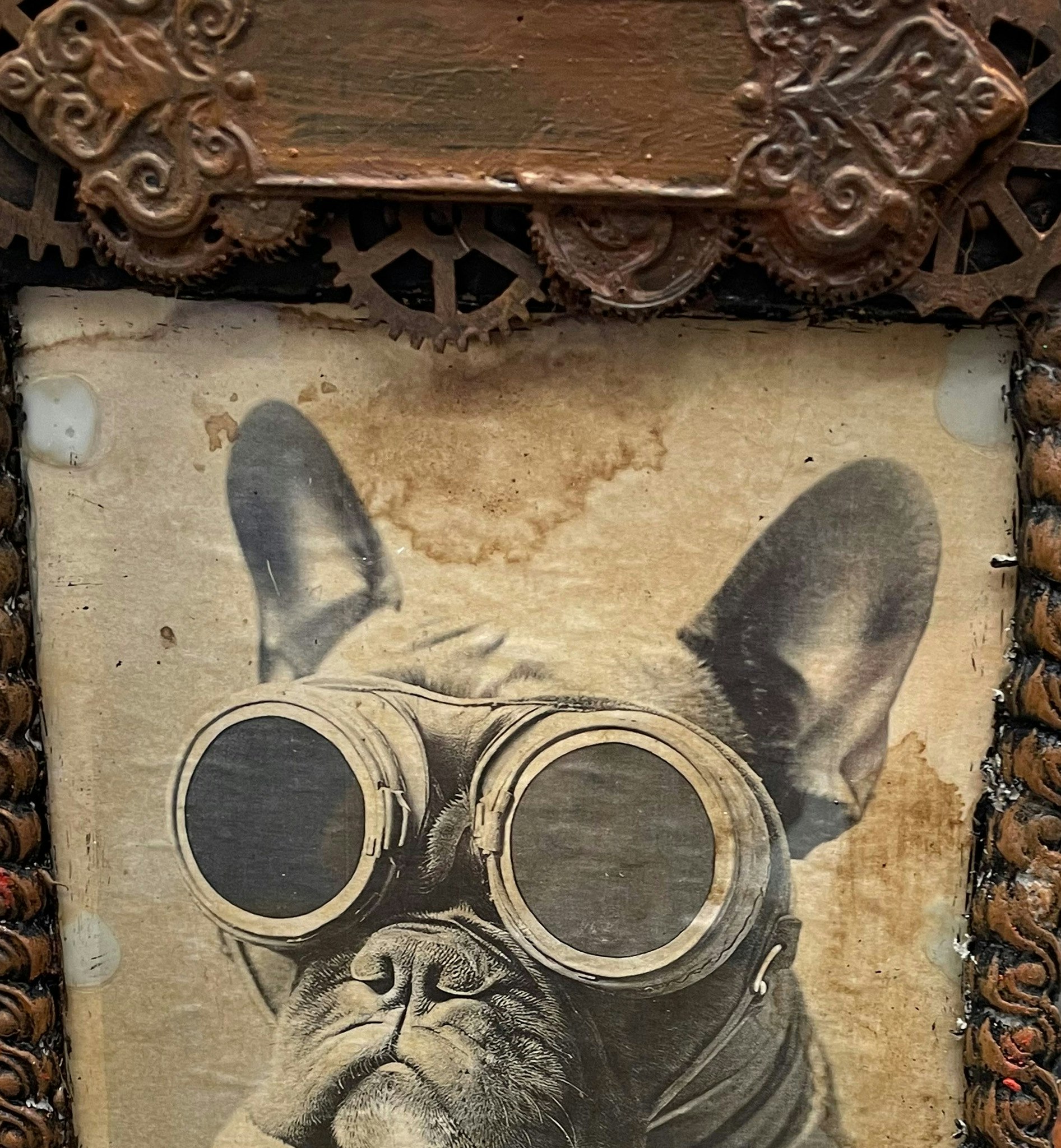 Steampunk unika tavlor olika motiv med steampunktema Fralla, Fransk bulldog flygare