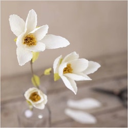 Kräppapper Magnoliakvist    Mini DIY Kit