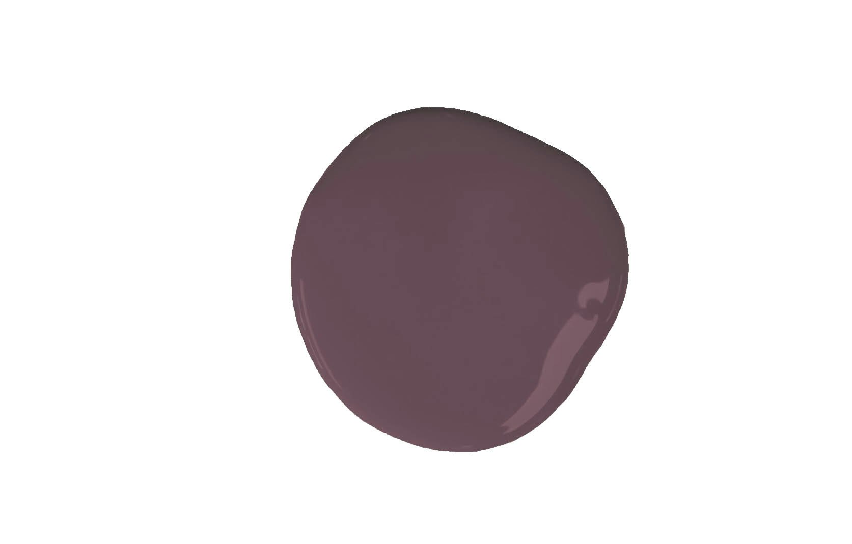 Tyrian Plum