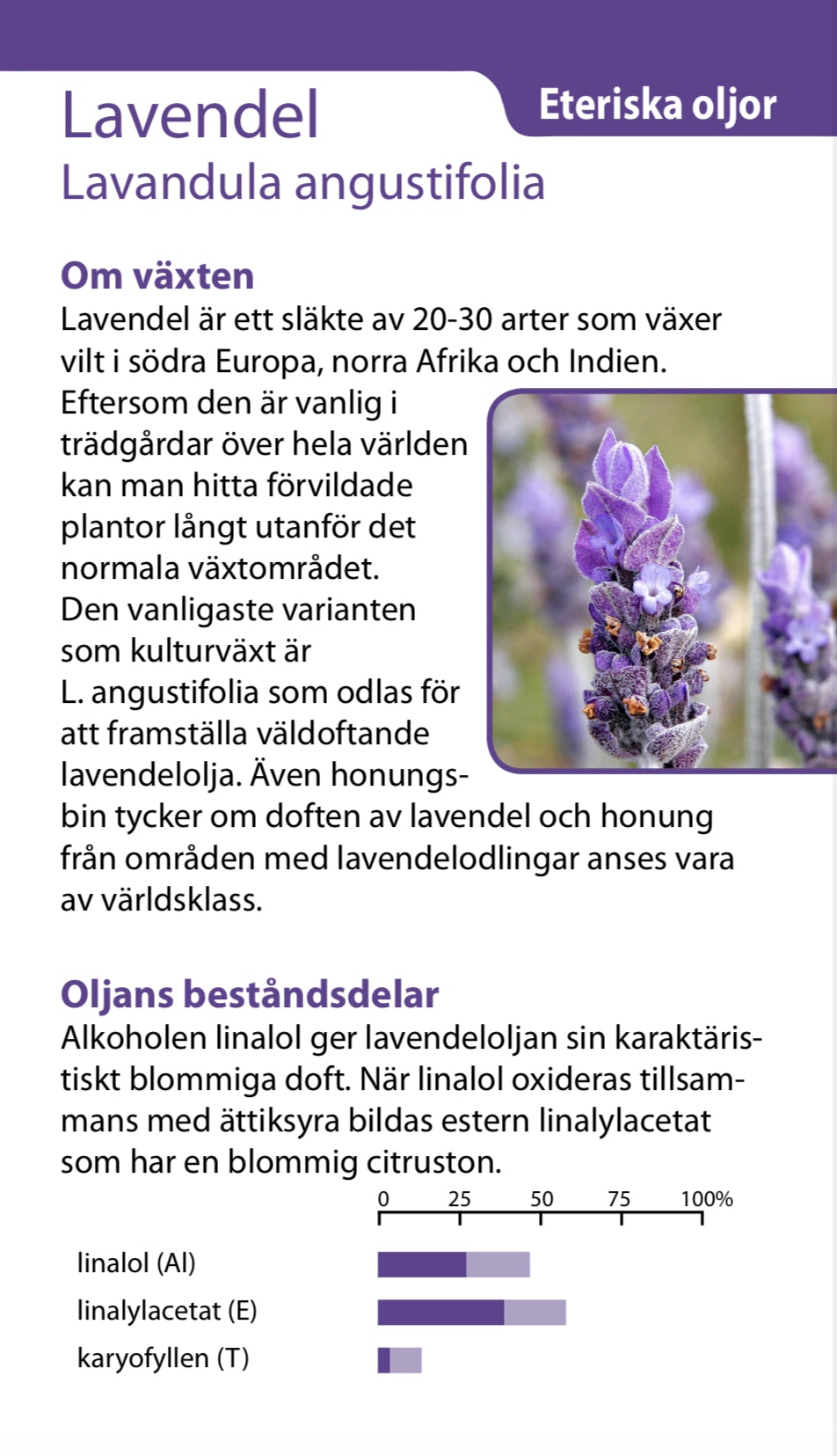 Lavendel eterisk olja 10ml