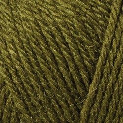 Raggi 100g