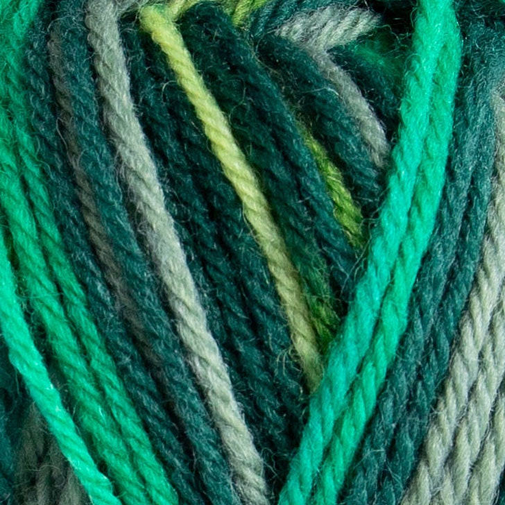 Raggi 100g