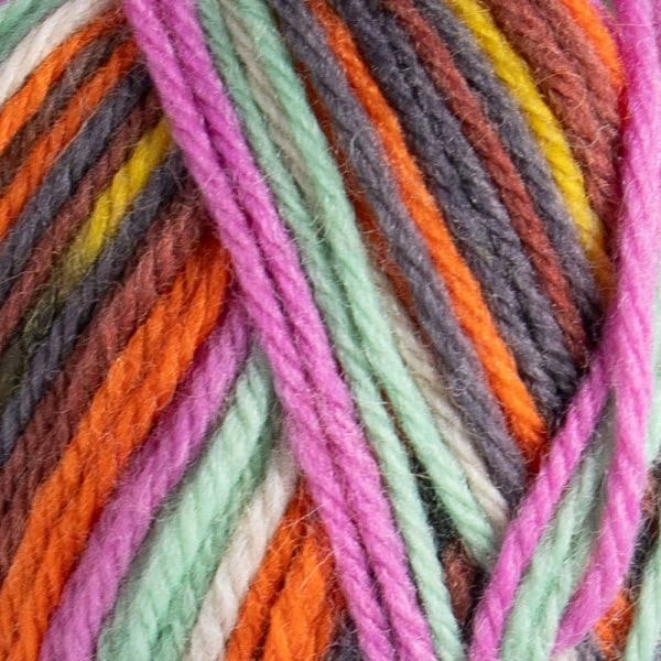 Raggi 100g