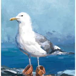 Seagull (art print)