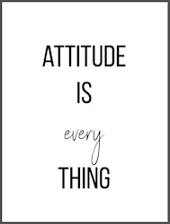 Attitude is every thing