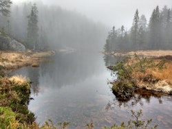 Misty day in Telemark