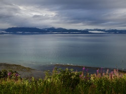 Kachemak bay, Alaska