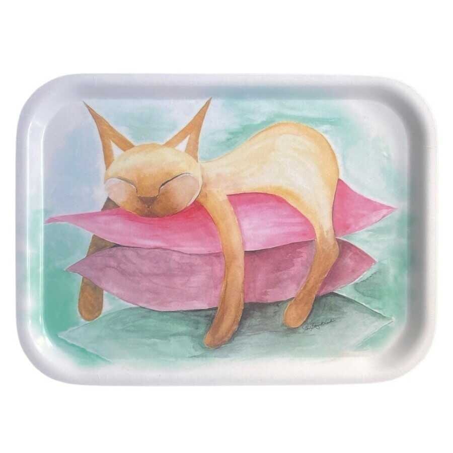 Frukostbricka Katt på kudde. En skönt avslappnad katt ..