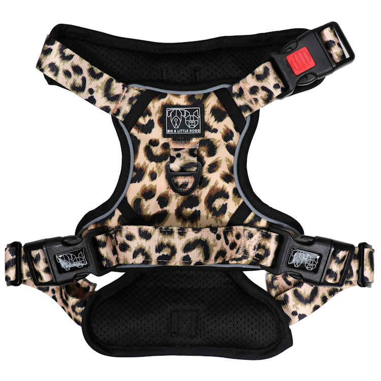 Big and Little dogs The-All-Rounder Luxurious Leopard sele