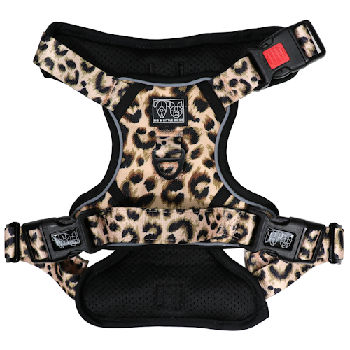 Big and Little dogs The-All-Rounder Luxurious Leopard sele