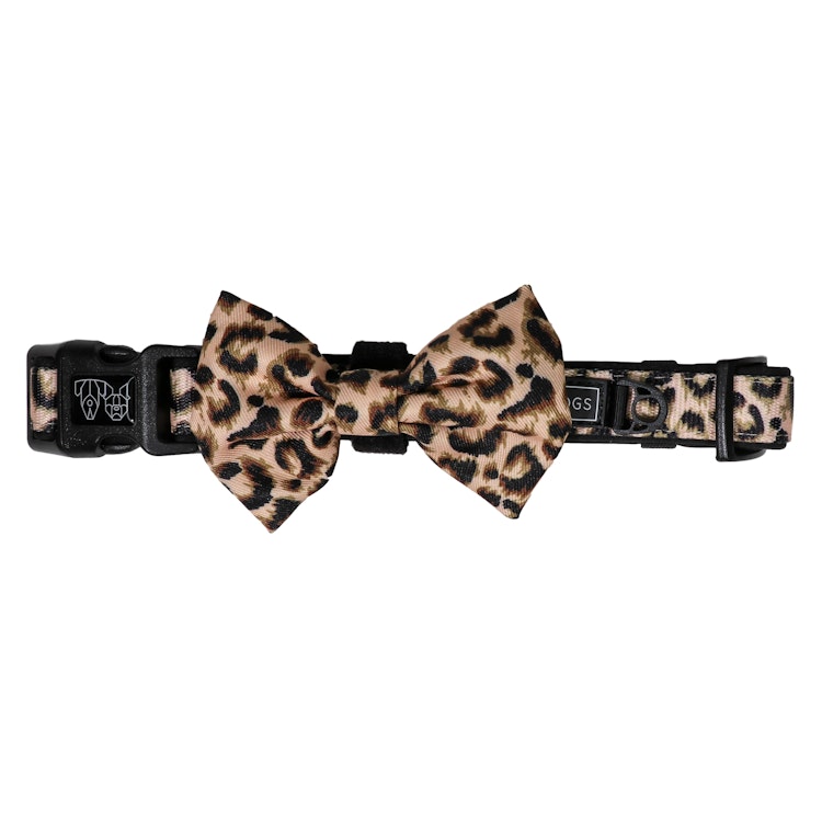 Big & Little Dogs Halsband med fluga Luxurious Leopard