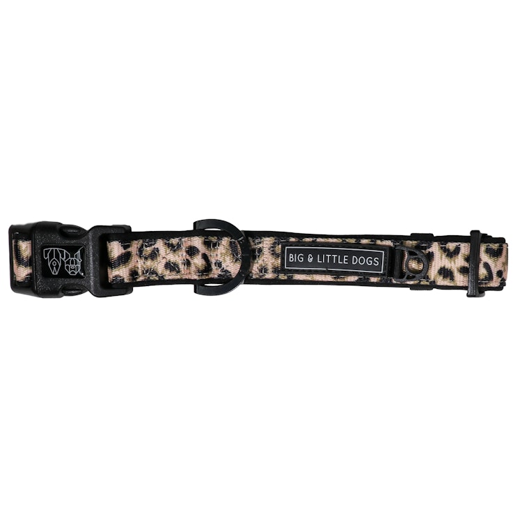 Big & Little Dogs Halsband med fluga Luxurious Leopard