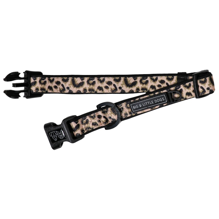Big & Little Dogs Halsband med fluga Luxurious Leopard