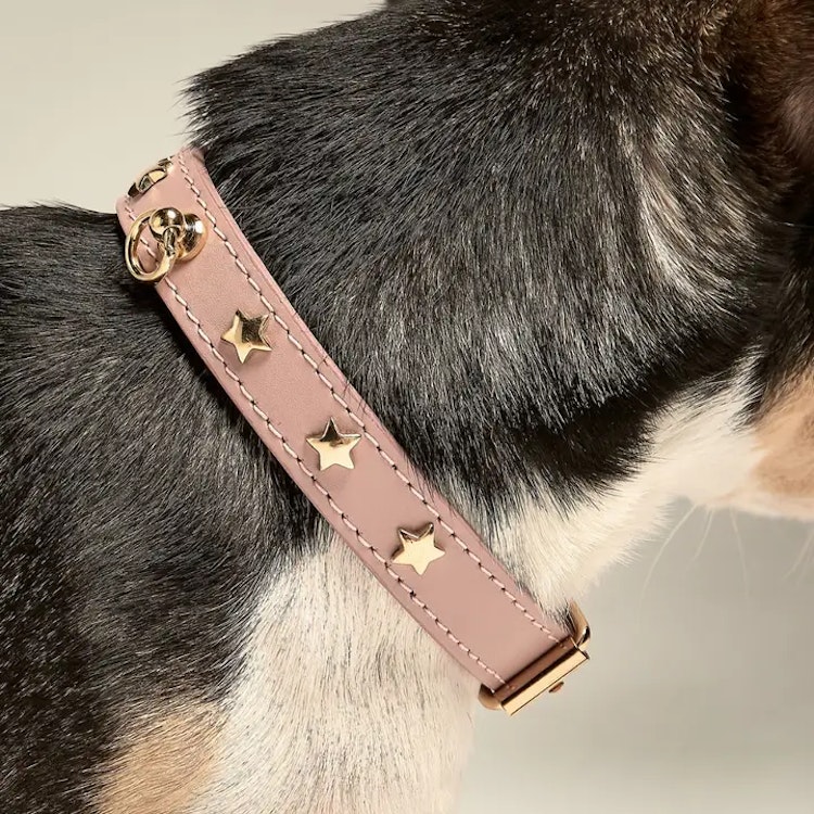 Brannis Pets halsband för mini och toyraser. Rosa med stjärnor