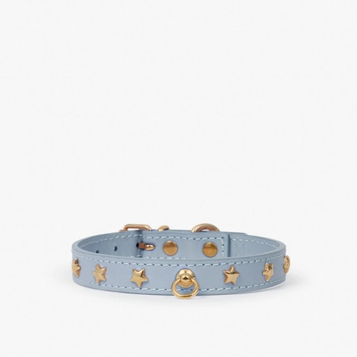 Branni Pets halsband för mini och toyraser. Himmelsblå med stjärnor