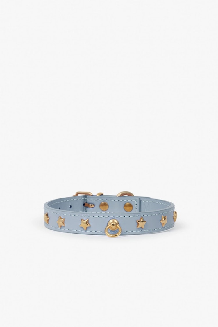 Branni Pets halsband för mini och toyraser. Himmelsblå med stjärnor