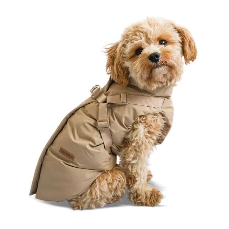 Puppy Boheme Vinterjacka med sele