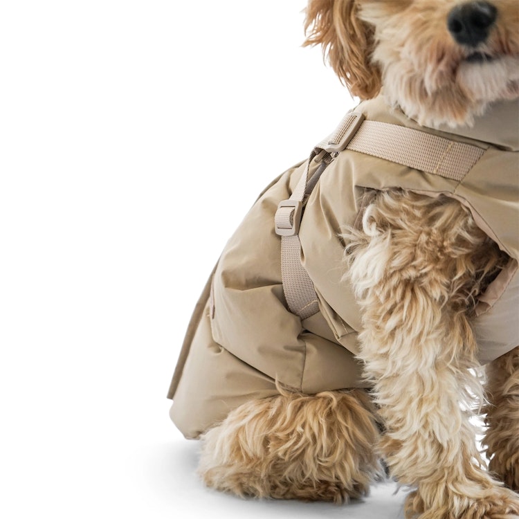 Puppy Boheme Vinterjacka med sele