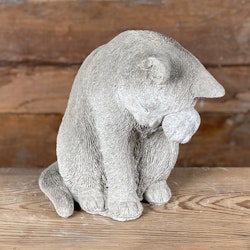 Betongkatt - tvättar sig