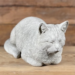 Betongkatt - Måns