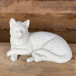 Liggande katt med korsade framben