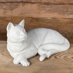 Liggande katt med korsade framben