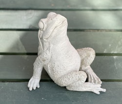 Slappande groda