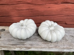 Pumpa 2 modeller