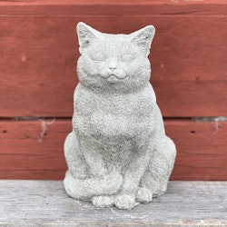 Katten Curt