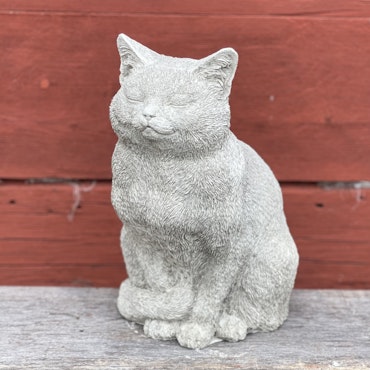 Katten Curt
