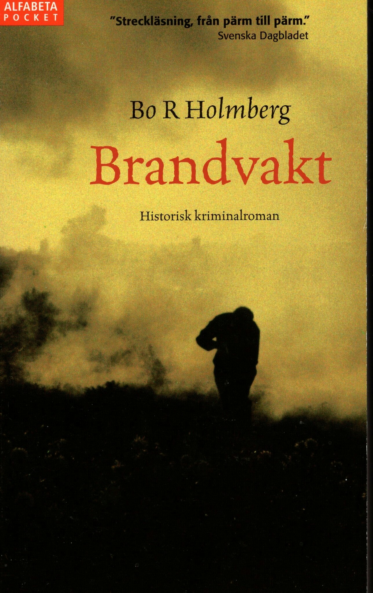 Brandvakt av Bo R Holmberg
