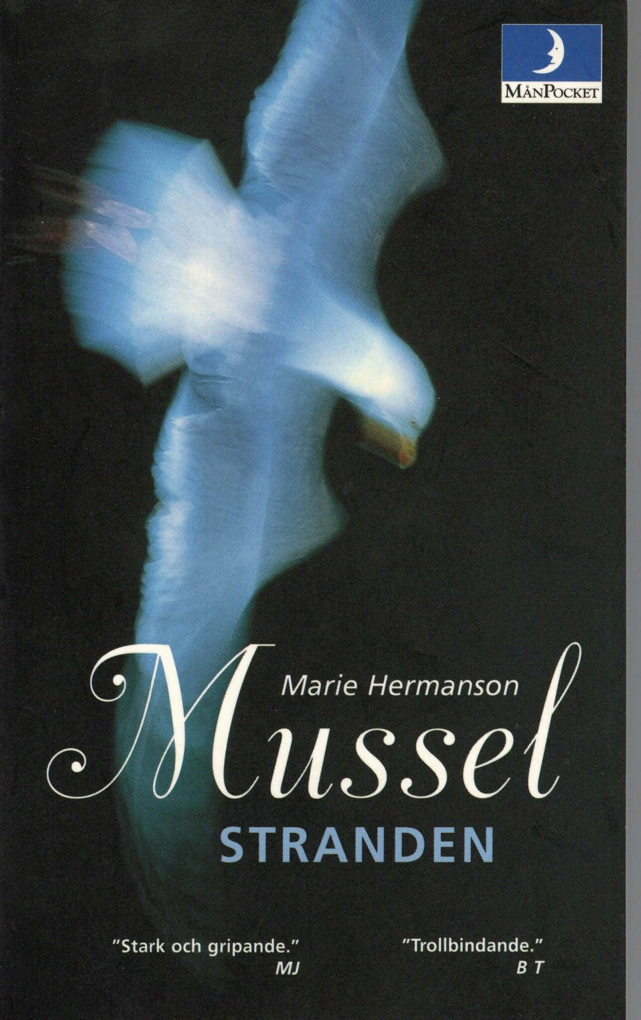 Musselstranden av Marie Hermanson